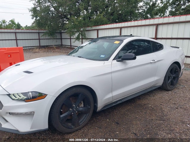 Ford Mustang Ecoboost Fastback 2021 1FA6P8TH2M5117664 Image 14