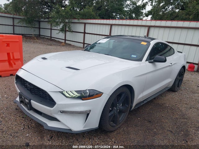Ford Mustang Ecoboost Fastback 2021 1FA6P8TH2M5117664 Image 2