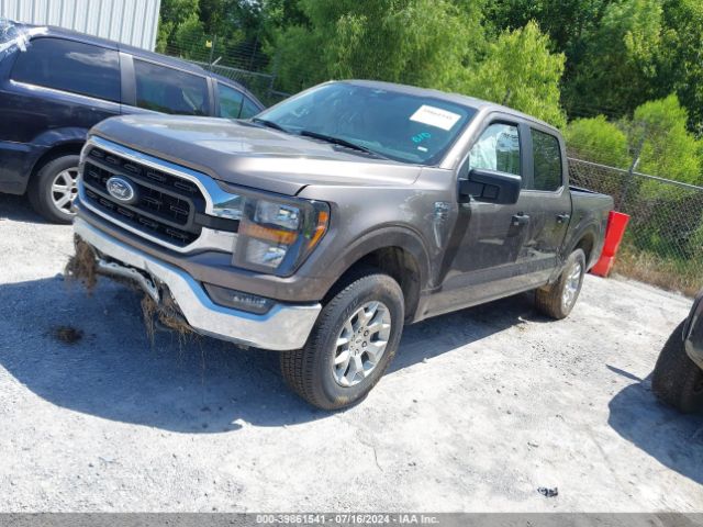 1FTFW1E88PFA86436 Ford F-150 Xlt