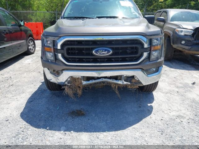 1FTFW1E88PFA86436 Ford F-150 Xlt