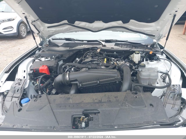 Ford Mustang Ecoboost Fastback 2024 1FA6P8TH4R5106883 Image 10