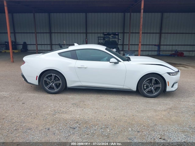 Ford Mustang Ecoboost Fastback 2024 1FA6P8TH4R5106883 Image 13