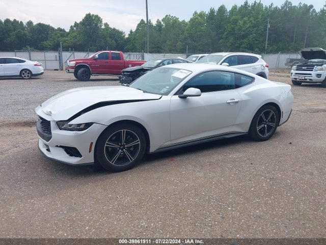 Ford Mustang Ecoboost Fastback 2024 1FA6P8TH4R5106883 Image 2