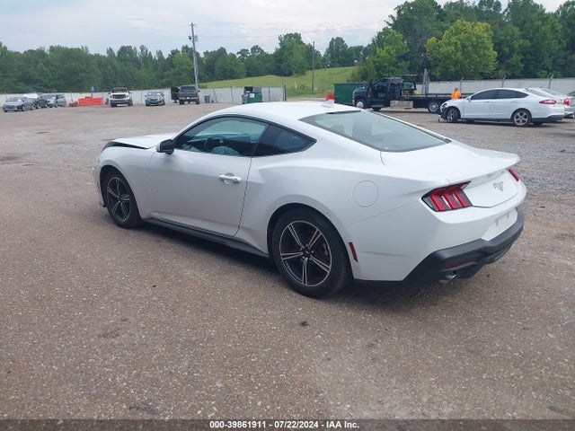 Ford Mustang Ecoboost Fastback 2024 1FA6P8TH4R5106883 Image 3