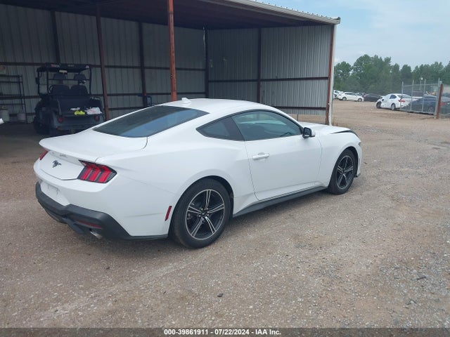 Ford Mustang Ecoboost Fastback 2024 1FA6P8TH4R5106883 Image 4