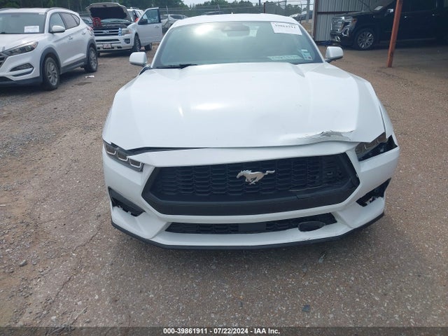 Ford Mustang Ecoboost Fastback 2024 1FA6P8TH4R5106883 Image 6