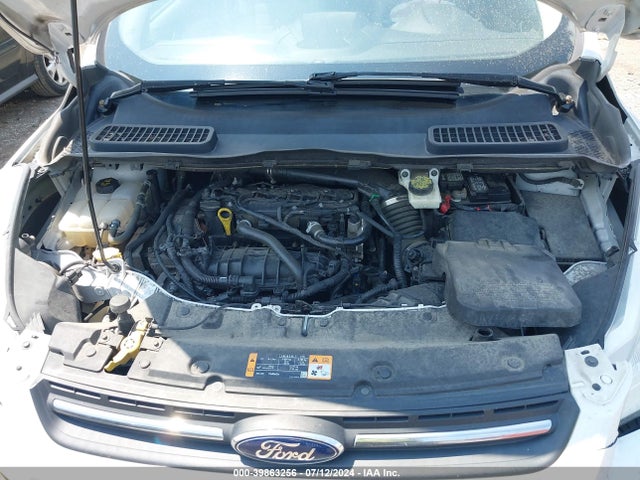 Ford ESCAPE SE 2014 1FMCU0GXXEUA37525 Image 10
