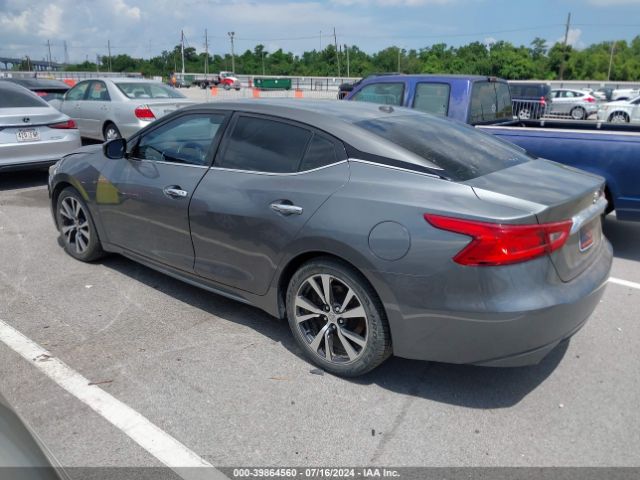 1N4AA6AP2HC373606 Nissan Maxima 3.5 Platinum/3.5 S/3.5 Sl/3.5 Sr/3.5 Sv
