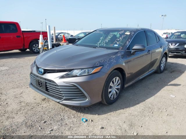 4T1C31AK7RU062300 Toyota Camry Hybrid Le