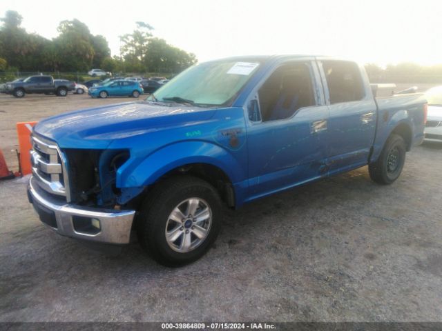 1FTEW1C86FFB98813 Ford F-150 Xlt