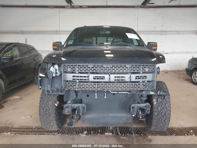 Ford F-150 Svt Raptor 2014 1FTFW1R65EFB99735 Image 12