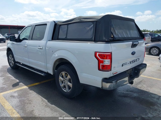 Ford F-150 Xlt 2019 1FTEW1CB3KKD24977 Image 3