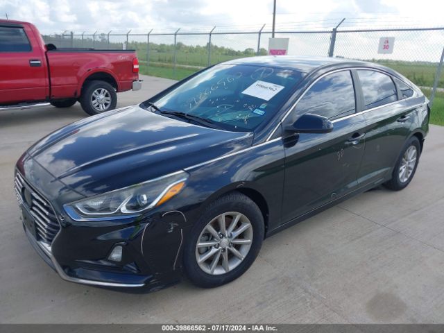 5NPE24AF3JH622946 Hyundai SONATA SE