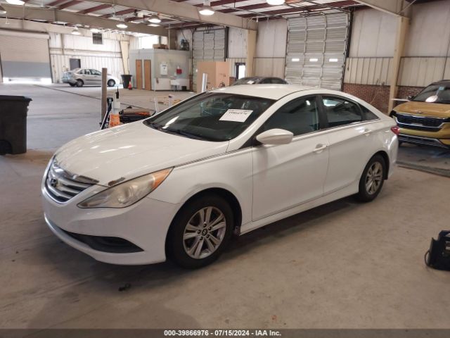 5NPEB4AC1EH886954 Hyundai SONATA GLS