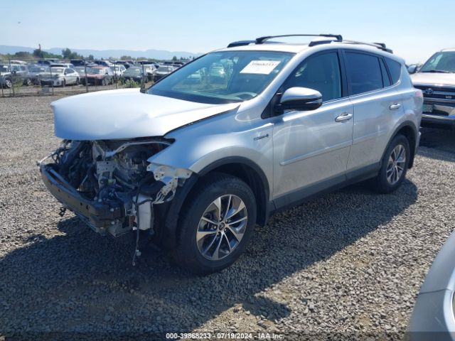JTMRJREV6GD041412 Toyota Rav4 Hybrid Xle