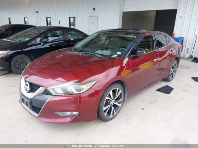 1N4AA6AP3GC429888 Nissan Maxima 3.5 Sl
