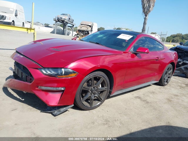 Ford Mustang Ecoboost Fastback 2020 1FA6P8TH0L5158728 Image 2