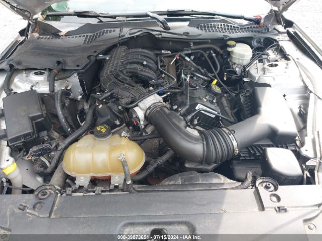 1FA6P8AM6G5296280 Ford Mustang V6