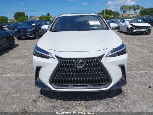 JTJGDCAZ4R2014290 Lexus Nx 250 Premium