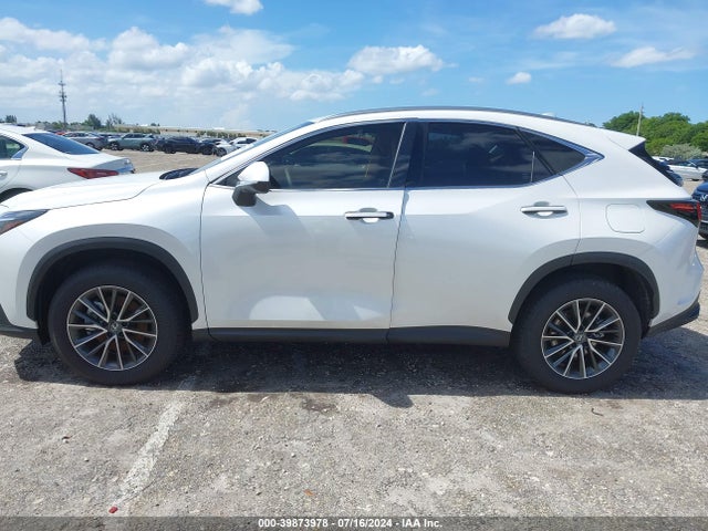 JTJGDCAZ4R2014290 Lexus Nx 250 Premium