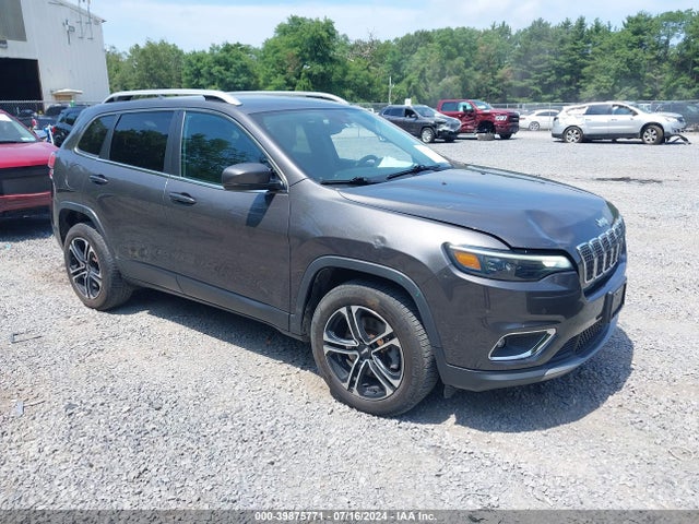 Jeep Cherokee Limited 4x4 2019 1C4PJMDX8KD461016 Image 1