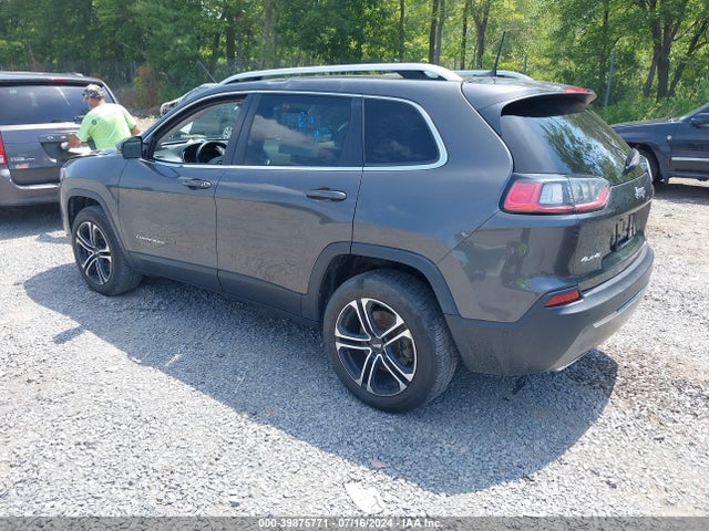 Jeep Cherokee Limited 4x4 2019 1C4PJMDX8KD461016 Image 3