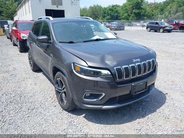 Jeep Cherokee Limited 4x4 2019 1C4PJMDX8KD461016 Image 6