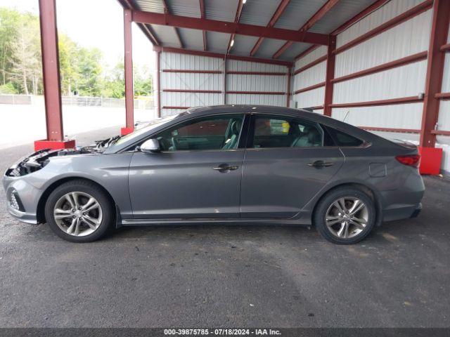 5NPE34AF1JH699635 Hyundai Sonata Sport+