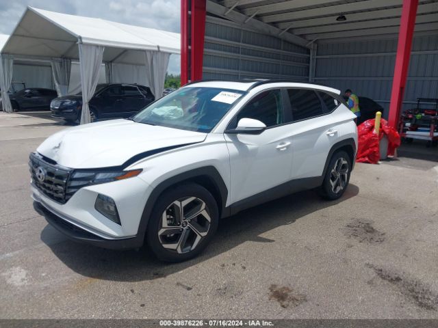 5NMJF3AE0PH243641 Hyundai TUCSON SEL