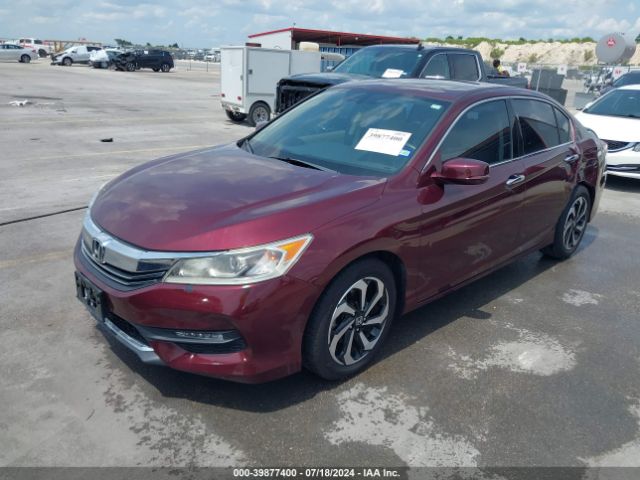 1HGCR3F82GA026736 Honda Accord Ex-l V-6