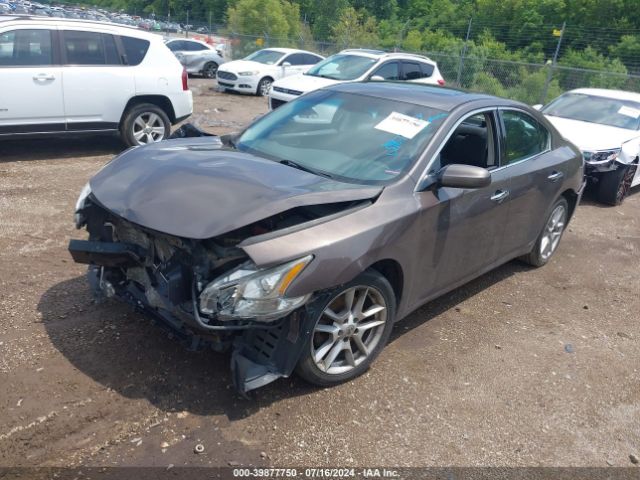 1N4AA5AP5EC491204 Nissan Maxima 3.5 S/3.5 Sv