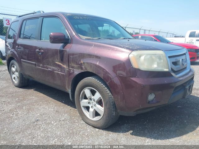 2010 HONDA PILOT 5FNYF4H59AB010957