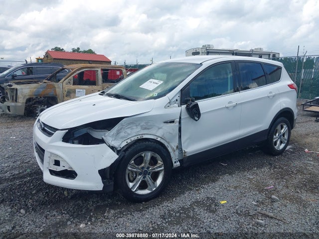 Ford ESCAPE SE 2014 1FMCU9G93EUC82611 Image 2