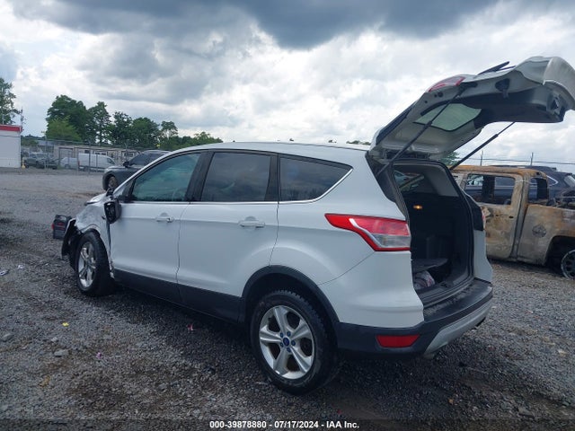 Ford ESCAPE SE 2014 1FMCU9G93EUC82611 Image 3