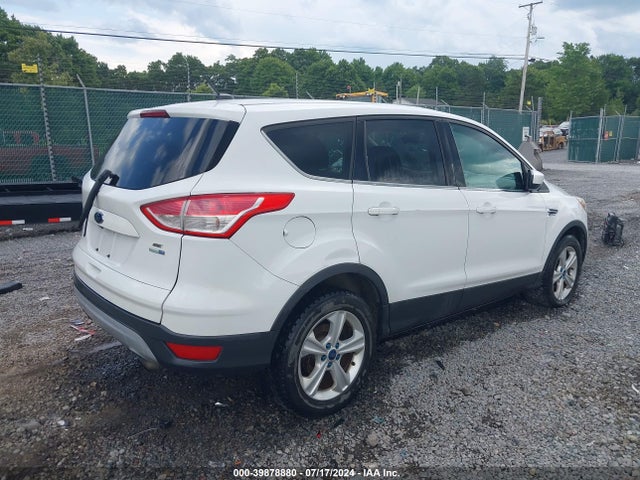 Ford ESCAPE SE 2014 1FMCU9G93EUC82611 Image 4
