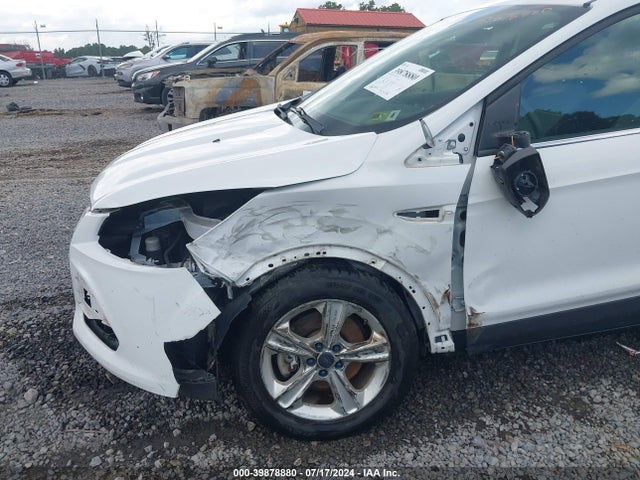 Ford ESCAPE SE 2014 1FMCU9G93EUC82611 Image 6