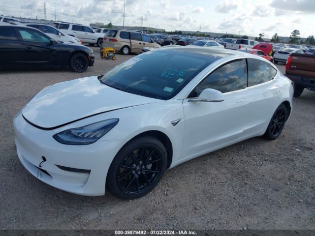5YJ3E1EA8LF799795 Tesla Model 3 Standard Range Plus Rear-wheel Drive/standard Range Rear-wheel Drive