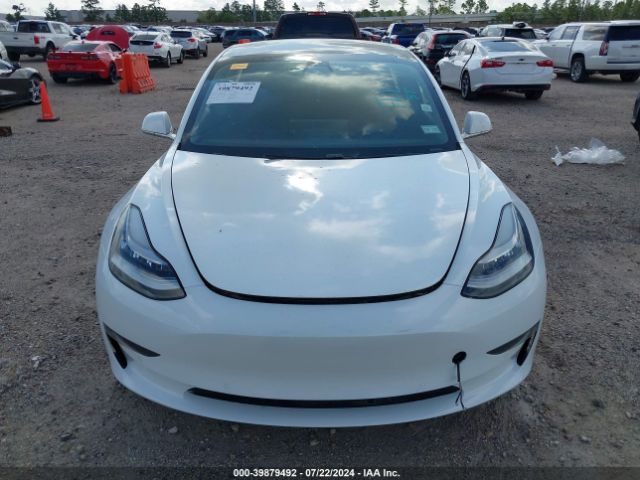 5YJ3E1EA8LF799795 Tesla Model 3 Standard Range Plus Rear-wheel Drive/standard Range Rear-wheel Drive