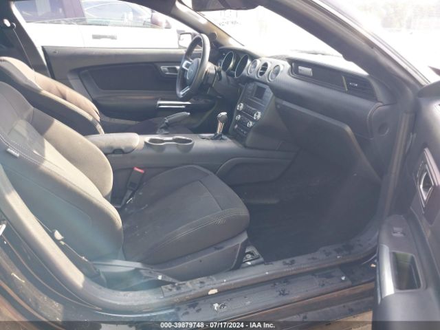 1FA6P8THXK5167516 Ford Mustang Ecoboost
