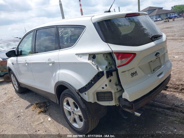 Ford ESCAPE SE 2016 1FMCU0GX3GUB63230 Image 3