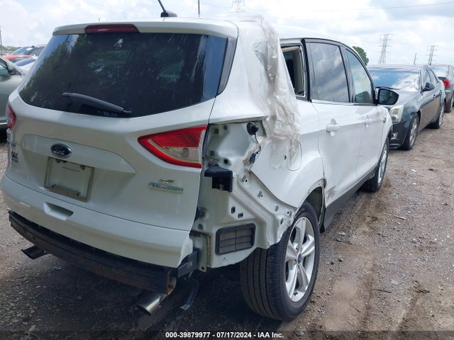 Ford ESCAPE SE 2016 1FMCU0GX3GUB63230 Image 4