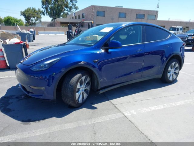 2023 TESLA MODEL Y 7SAYGDEE1PF664848 Photo 1
