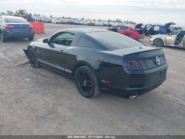 1ZVBP8AM9E5291190 Ford Mustang V6 Premium