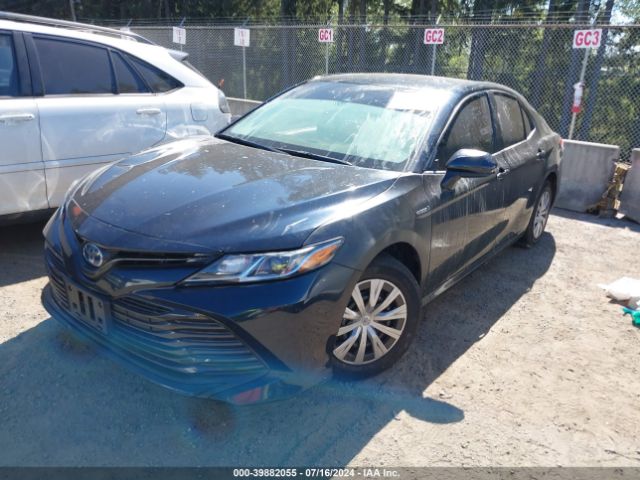 4T1B31HK5KU514462 Toyota Camry Hybrid Le