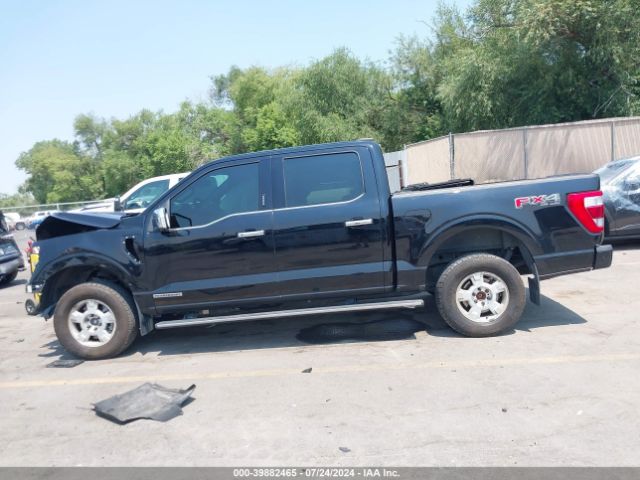 1FTFW1ED3MFB09856 Ford F-150 Platinum