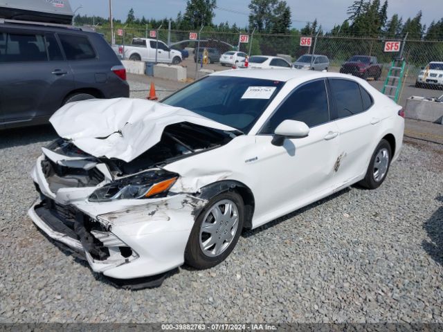 4T1B31HK0KU510321 Toyota Camry Hybrid Le