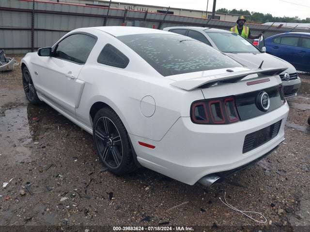 Ford Mustang Gt Premium 2014 1ZVBP8CF9E5303935 Image 3