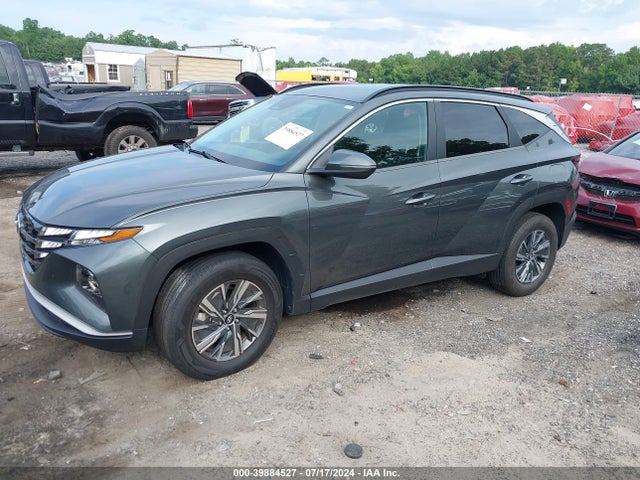 KM8JBCA15NU015127 Hyundai Tucson Hybrid Blue
