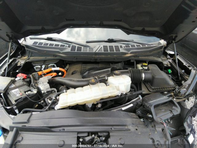 1FTFW1ED7MFB94684 Ford F-150 Platinum
