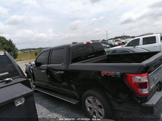 1FTFW1ED7MFB94684 Ford F-150 Platinum